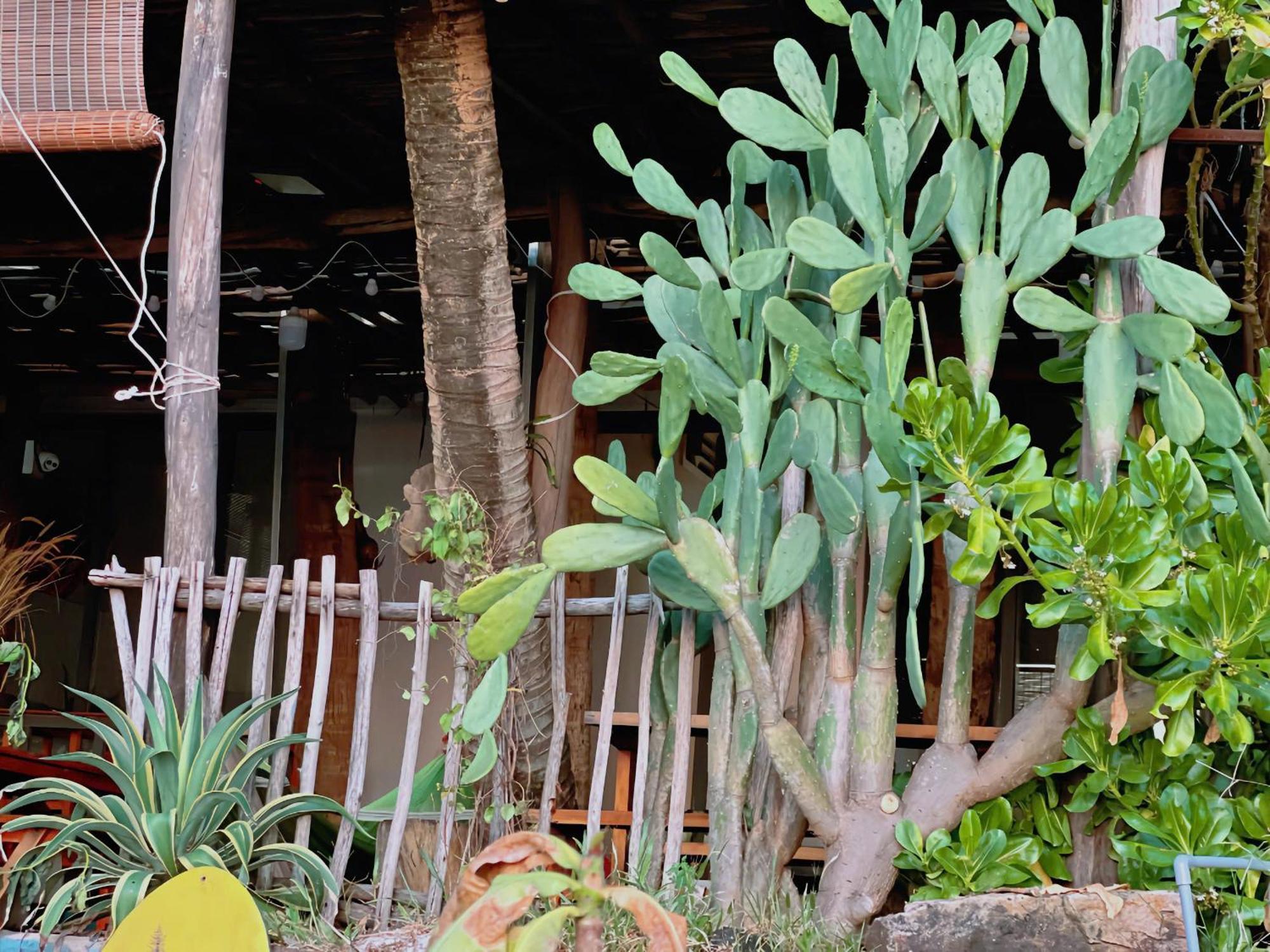 Soho 1 Phu Quoc Διαμέρισμα Εξωτερικό φωτογραφία